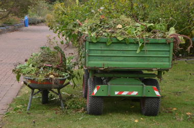Yard Waste Removal
